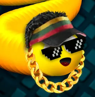 Play Snake is MLG Edition